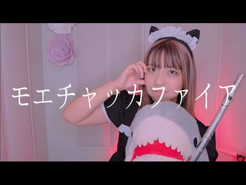 【フルート flute】モエチャッカファイア メイドさんになりきりたくて演奏してみた(歌詞付き)【full Cover by myon】