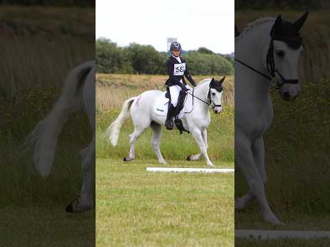 I owe this horse everything 💗 #hearthorse #dressage #equestrain