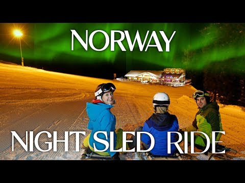 🌚Night Sled Ride in Oslo🛷❄️🇸🇯 Winter Spors in Norway