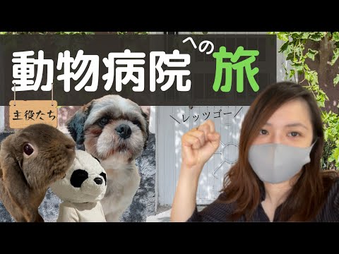 【VLOG】ドキドキ！動物病院への旅(同性カップル）