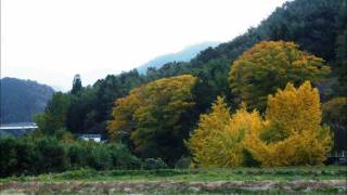 癒しの秋　田舎の風景