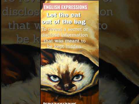 🙀Learn what LET THE CAT OUT OF THE BAG means #englishexpressions