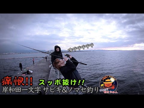 【岸和田一文字】沈むノマセ釣りの浮き…痛恨のミス【岸和田渡船】