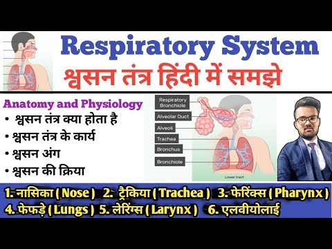 Respiratory System (श्वसन तंत्र) | Respiratory Tract | Lungs | Bronchi | Trachea | Alveoli | Larynx