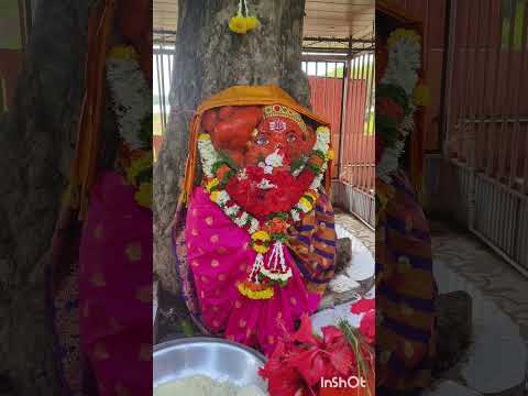 झाडातला गणपती कळंबा कोल्हापूर 🙏🙏 संकष्टी चतुर्थी#ytshort #viral #beautifultemple