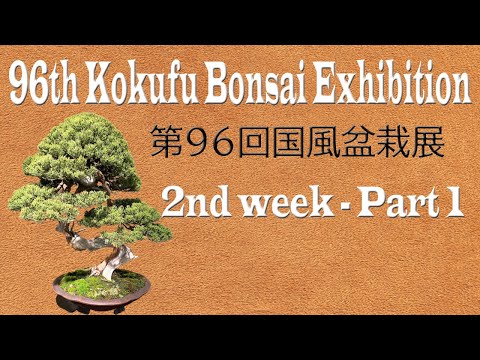 2nd Week. 96th KOKUFU BONSAI EXHIBITION 2022 /02/13~16  第96回国風盆栽展（後期）PART.1