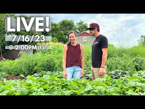 We Dump Milk in Our Garden?!