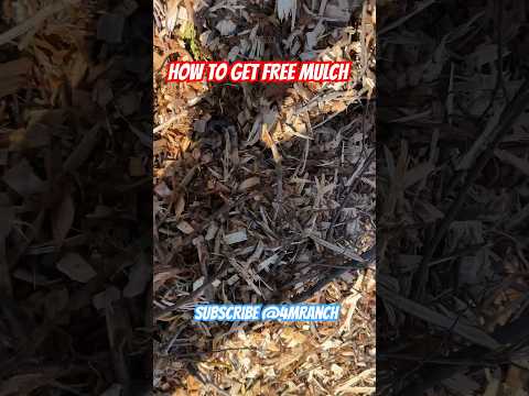 Never pay for mulch! Here’s how to get it #shortsvideo #agriculture