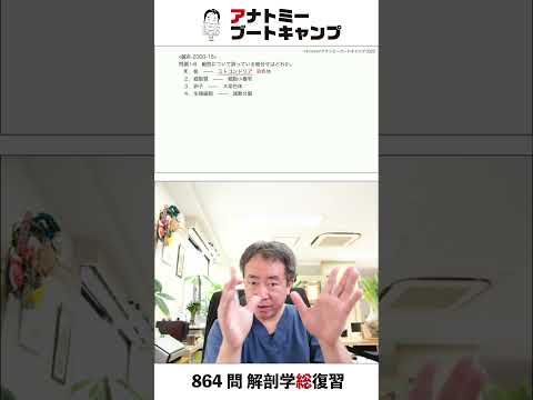 【 #国試1分道場 ・人体の構成】細胞について誤っている組合せはどれか　１．核 – ミトコンドリア　２．細胞質 – 細胞小器官　３．卵子 – X染色体　４．生殖細胞 – 減数分裂 #かずひろ先生