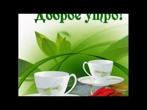 Доброе утро☀️отличного дня🌺