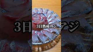 3日熟成したアジの刺身が美味すぎる #アジ #盛り付け #魚の捌き方