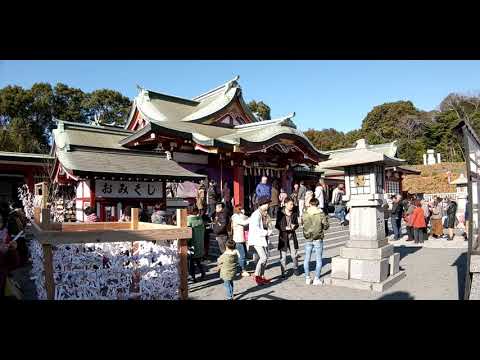 篠崎神社➰初詣