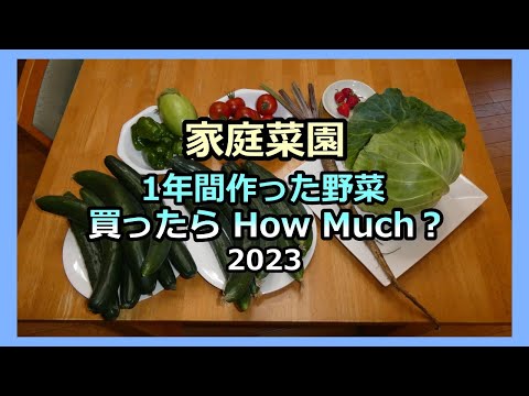 【1年間作った野菜 買ったらHow much？2023】家庭菜園30年目  無農薬 半自給自足