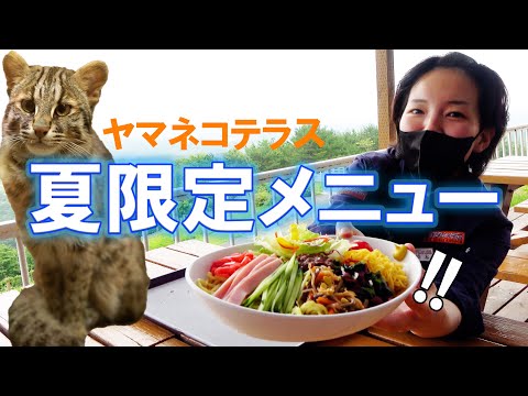 【保全活動】飼育員がツシマヤマネコを語ってツシマヤマネコの為に食べます