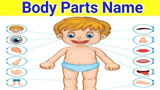 Body Parts Name In English | Parts Of The Body | Learn Body Parts