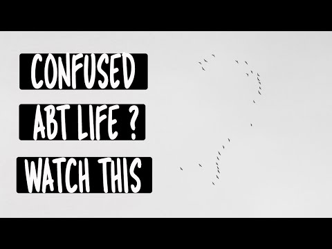 Confusing questions on Life are answered (for the seekers)