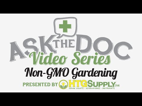 Non-GMO Gardening  - Is GMO good or bad: Ask The Doc