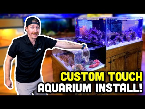 Installing a BRAND NEW Touch Tank!