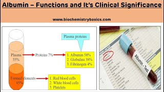 Biochemical Functions of Albumin || Clinical Significance of Albumin || Plasma Proteins