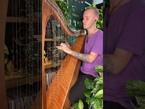 Celtic Harp Relaxation & Soul Cleanse Meditation - Mindful Moments #shorts