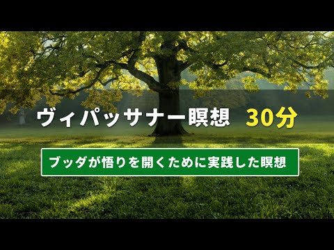 ヴィパッサナー瞑想 | 30分 | ブッダが悟りを開くために実践した瞑想