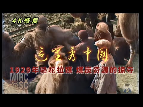 1929年北平煤矿骆驼拉煤，煤炭资源的掠夺