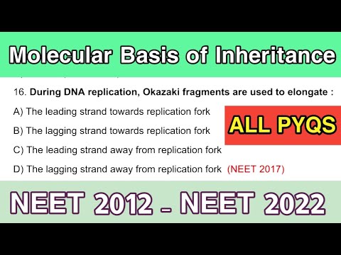 Molecular Basis of Inheritance Class 12 MCQ | Last 10 years PYQs of NEET || NEET 2012 - NEET 2022