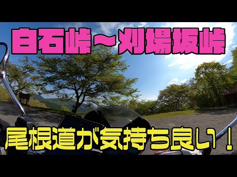 【CB1100EX】白石峠～刈場坂峠！　奥武蔵グリーンライン【モトブログ】