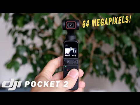 DJI Pocket 2 Photography Review: Is It Good for Photos?