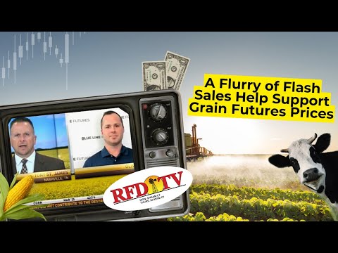 A Flurry of Flash Sales Help Support Grain Futures Prices