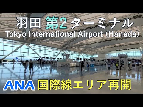 羽田空港2タミ国際線エリア再開！