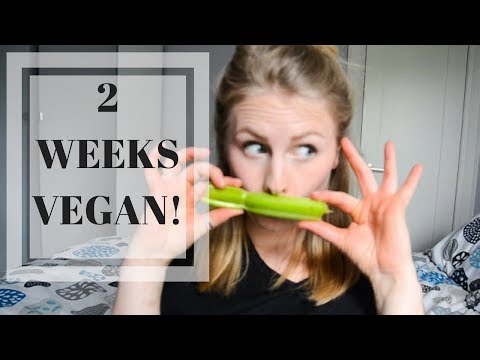 MY FIRST 2 WEEKS AS A VEGAN! | InRuffCompany.com