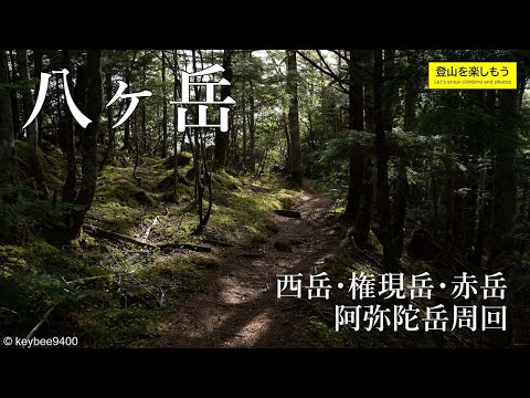 【日本百名山】南八ヶ岳を登山 西岳･権現岳･赤岳･阿弥陀岳を周回　舟山十字路から。　雲海に浮かぶ富士山や南アルプスが絶景だった。