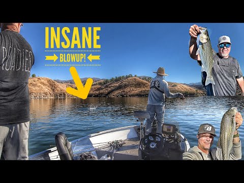 All Topwater, All Morning!  Striper & Bass Boils!-Castaic Lake