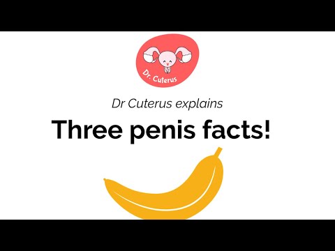 Penis size & shape - what’s normal? What’s not? | Dr Cuterus explains #YouTubePartner #Shorts