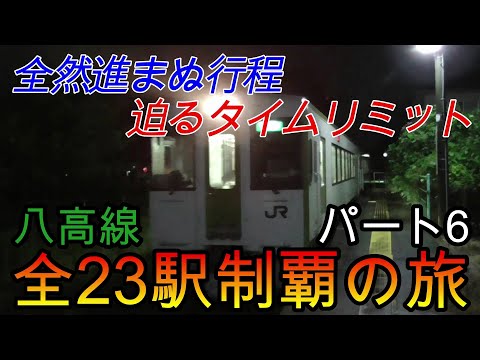 【全駅制覇シリーズ】八高線の全23駅制覇を目指してみた　パート6(鉄道旅行)