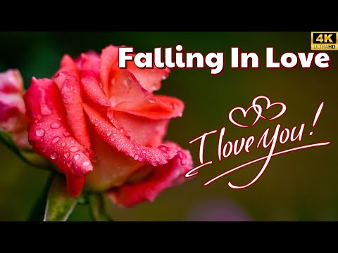 Most Beautiful Sweet Love Songs 2024 - Greatest Romantic Love Songs 80's 90's Ever