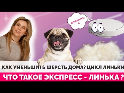 Как уменьшить шерсть дома? Цикл линьки. Что такое экспресс - линька?