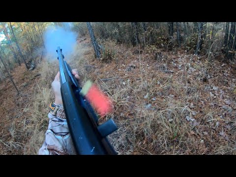 Deer Hunting With Dogs!! Opening Day Of Gun Season!! (Virginia 2023)