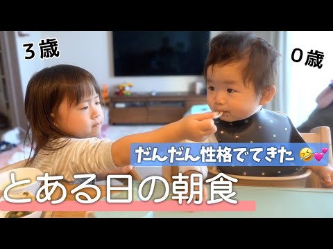 【４人家族/朝食】赤ちゃんがはじめて手づかみ食べに挑戦した日【生後９ヶ月】