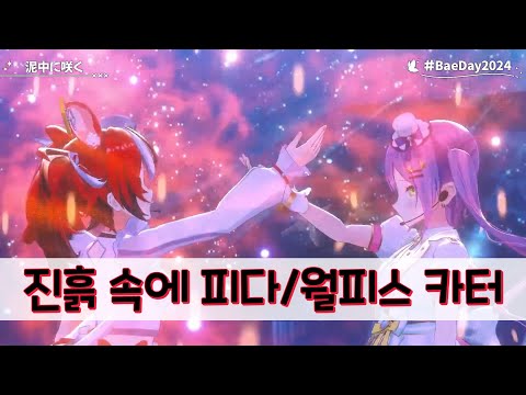 하코스 벨즈 &  토코야미 토와 - 진흙 속에 피다 / 월피스 카터