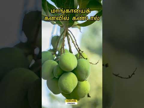 மாங்காயை கனவில் கண்டால் | raw mango in dream | dream interpretation in tamil | #kanavupalan