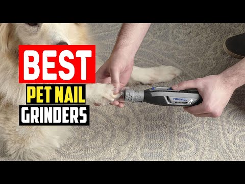 ✅Top 5 Best Pet Nail Grinders Tested With Real Paws in 2025