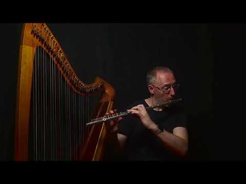 Nocturnal Whispers - Harp and Flute by Ralf Kleemann