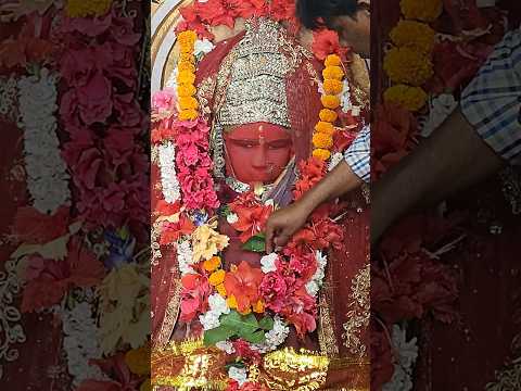 #maamangalatemple #mrandmrspurohit #sundargarh #sundargarhvlog #viral #ytviral #maamangala