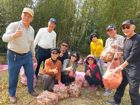 大湖薑麻園遊記2