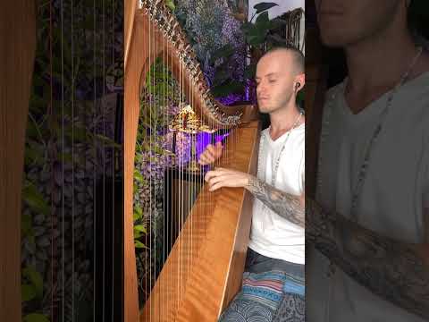 Celtic Harp Relaxation & Soul Cleanse Music - Mindful Meditation #shorts