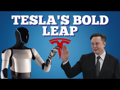 Elon Musk’s $30K Robot Vision