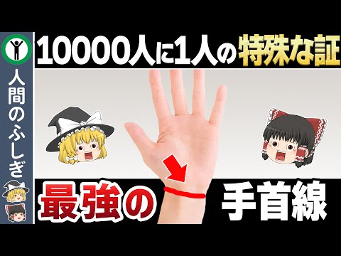 【手相】1つでもあればスゴイ！幸運の手首線8個【ゆっくり解説】