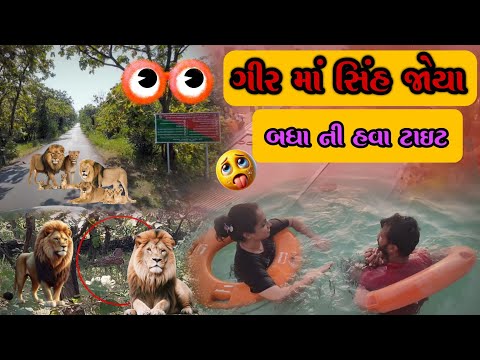 😱🔥 ગીરમાં સિંહ 🦁 જોયા બધાની હવા 💨 ટાઇટ 🤯 | 𝗚𝗶𝗿 𝗺𝗮 𝗦𝗶𝗻𝗵 𝗷𝗼𝘆𝗮 𝗯𝗮𝗱𝗮𝗻𝗶 𝗵𝗮𝘄𝗮 𝘁𝗶𝗴𝗵𝘁 #𝘃𝗹𝗼𝗴 #𝗹𝗶𝗼𝗻 #𝗻𝗮𝘁𝘂𝗿𝗲